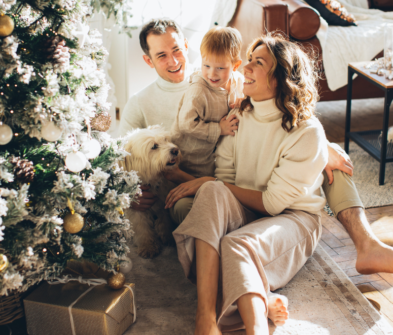 Benefits of in-home holiday decorating services